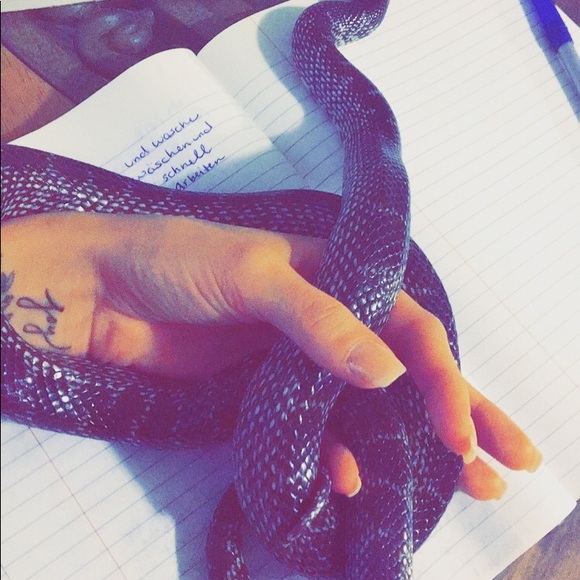 Meet your Posher, Courtney - Picture 4 of 8